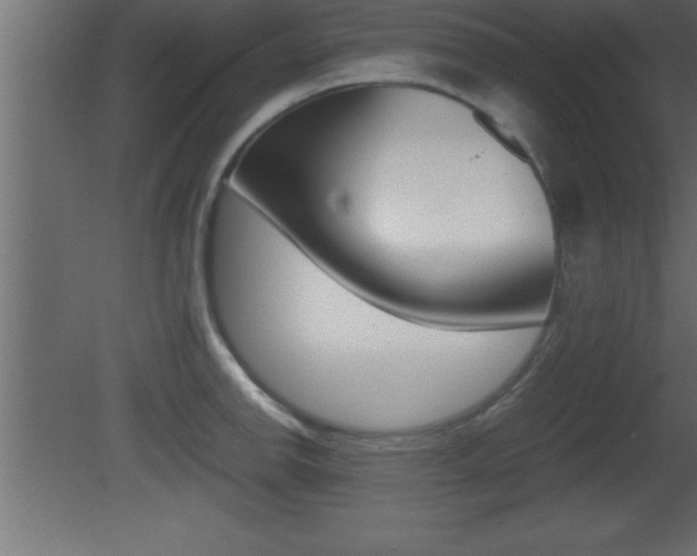 X0000081451142200701121008