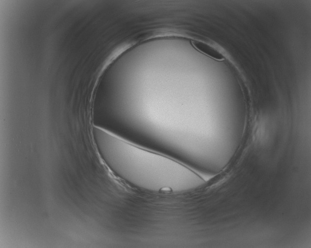 X0000081451145200701121008
