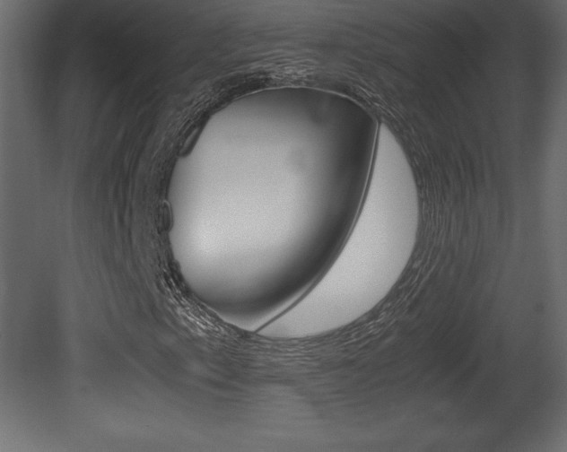 X0000081451153200701121007