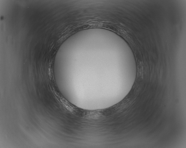 X0000081451154200701121007