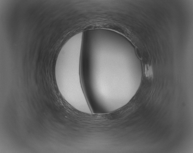 X0000081451155200701121007