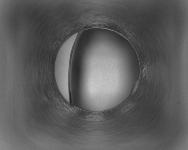X0000081451156200701121007