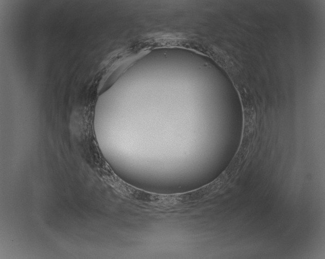 X0000081451157200701121007