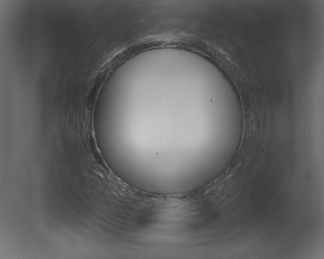 X0000081451158200701121007