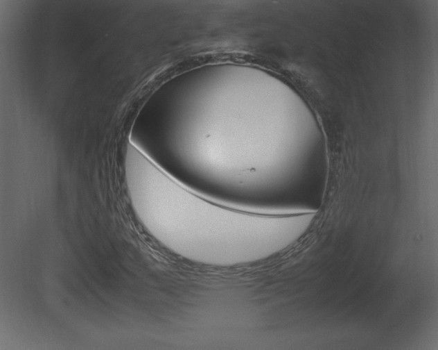 X0000081451159200701121007