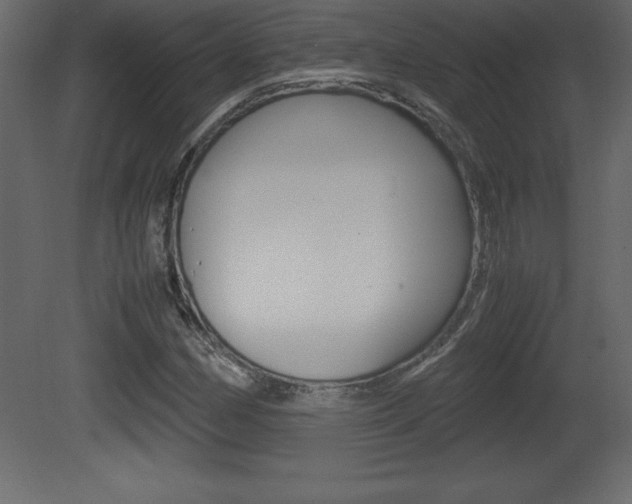 X0000081451162200701121007