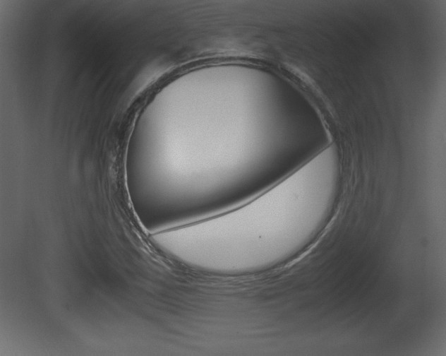 X0000081451163200701121007