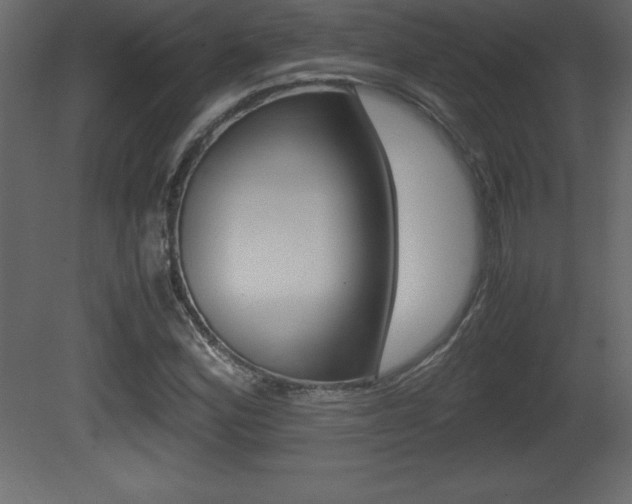 X0000081451164200701121007