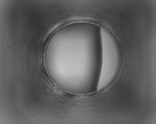 X0000081451165200701121007