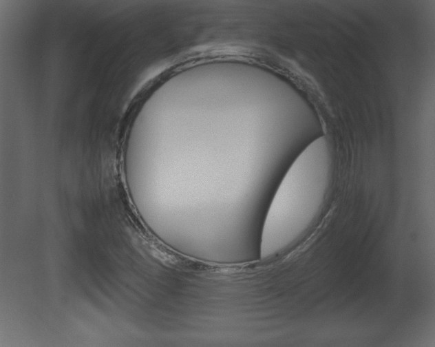 X0000081451166200701121007