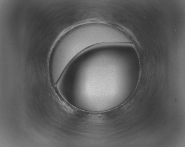 X0000081451168200701121007
