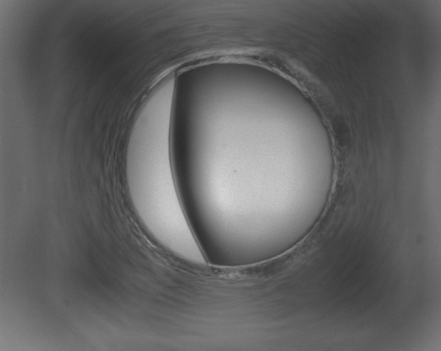 X0000081451169200701121007