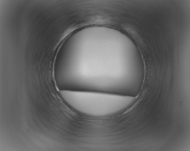 X0000081451170200701121007