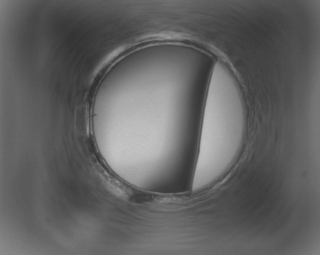 X0000081451171200701121007