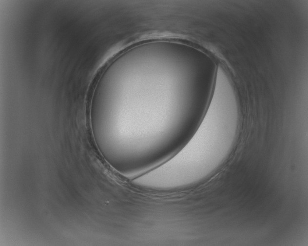 X0000081451173200701121007