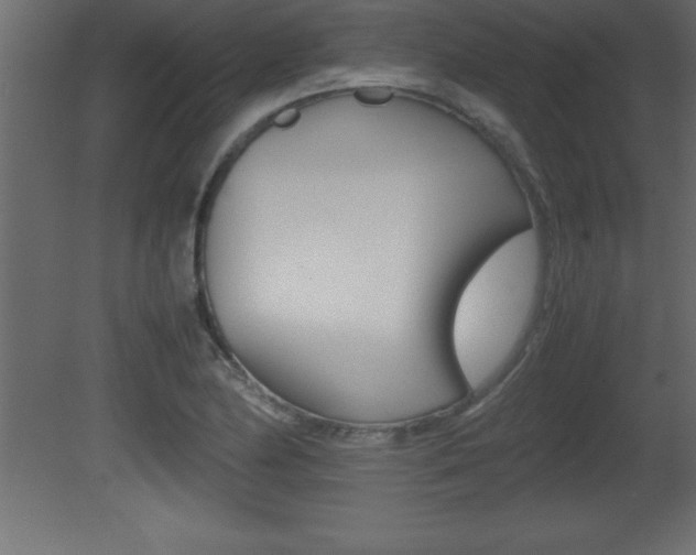 X0000081451174200701121007