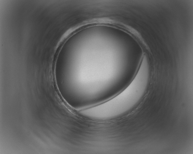X0000081451176200701121007