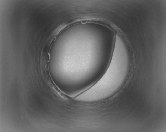X0000081451177200701121007