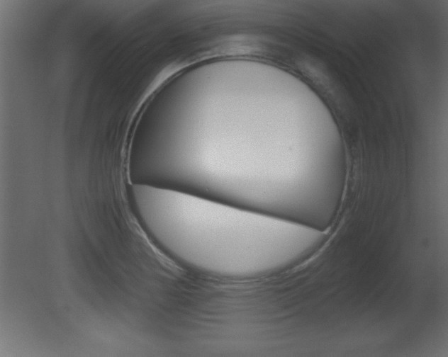X0000081451178200701121007