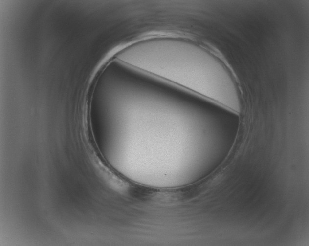 X0000081451179200701121007