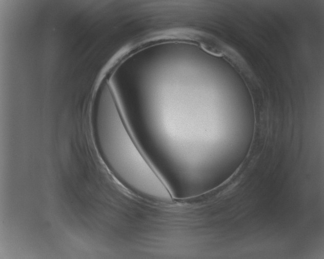 X0000081451180200701121007