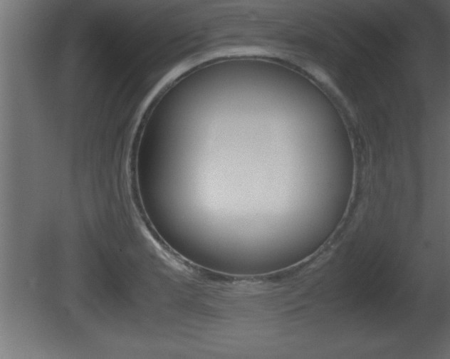 X0000081451181200701121007