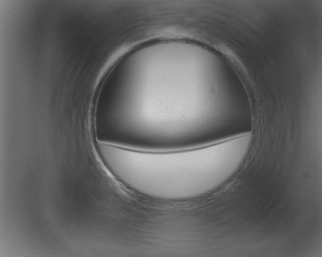 X0000081451183200701121007