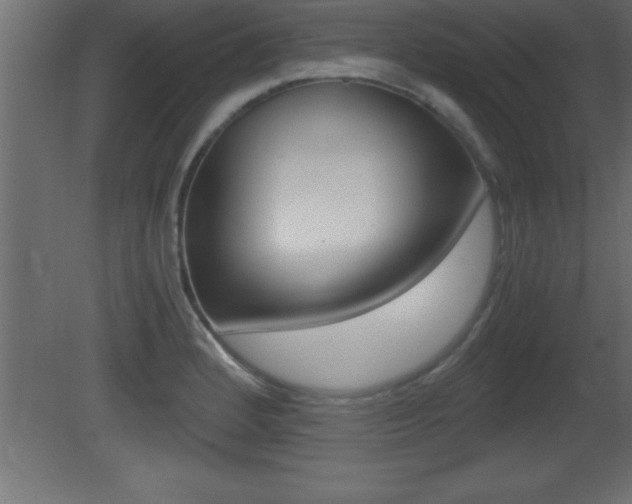 X0000081451184200701121007
