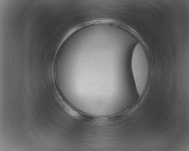 X0000081451186200701121007