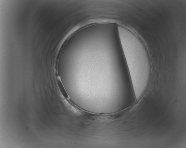 X0000081451189200701121007
