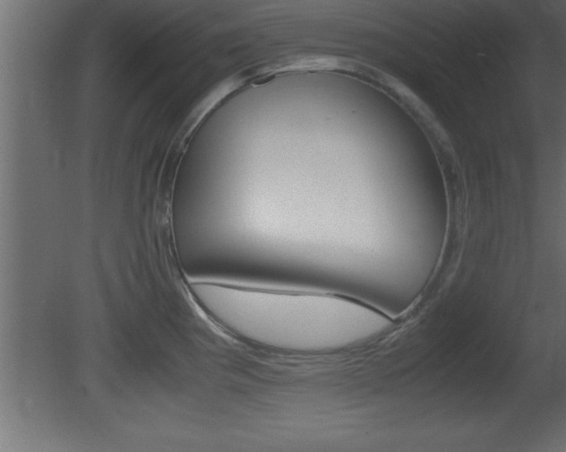 X0000081451193200701121007