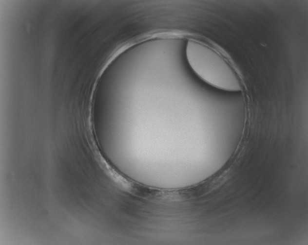 X0000081451194200701121007