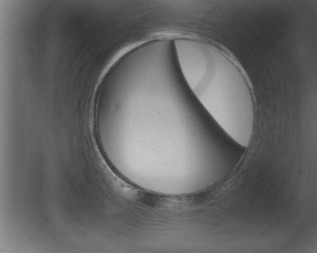 X0000081451195200701121007