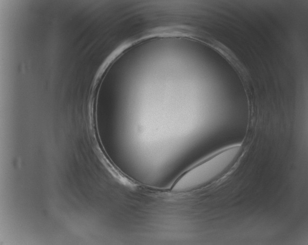 X0000081451196200701121006