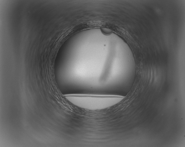 X0000081451201200701121006