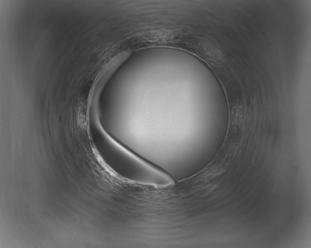 X0000081451202200701121006