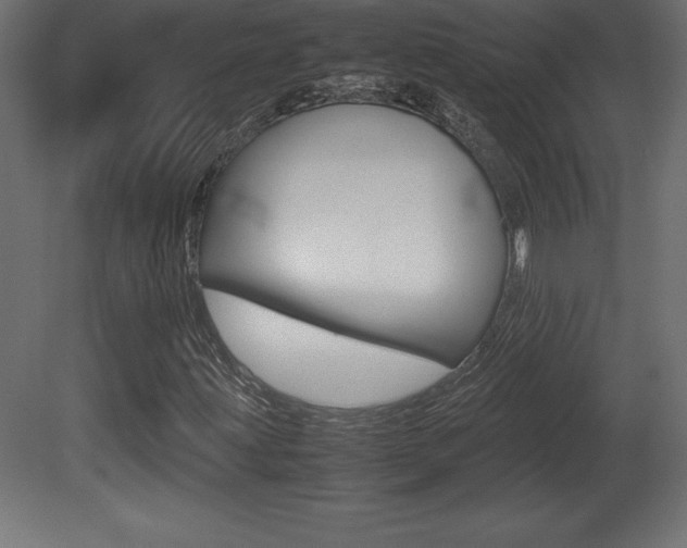 X0000081451203200701121006