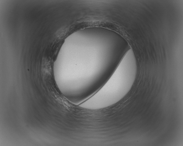 X0000081451204200701121006