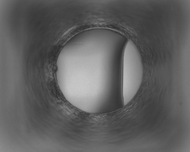 X0000081451205200701121006