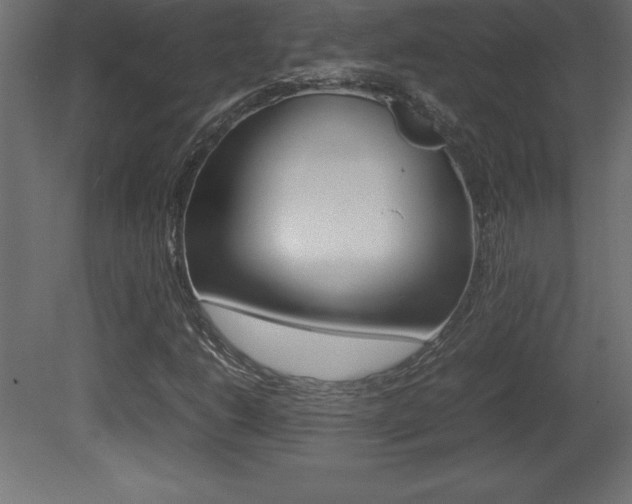 X0000081451206200701121006