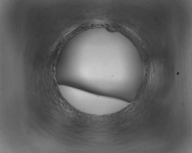 X0000081451207200701121006