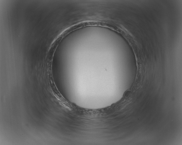 X0000081451208200701121006