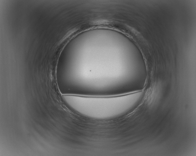 X0000081451209200701121006