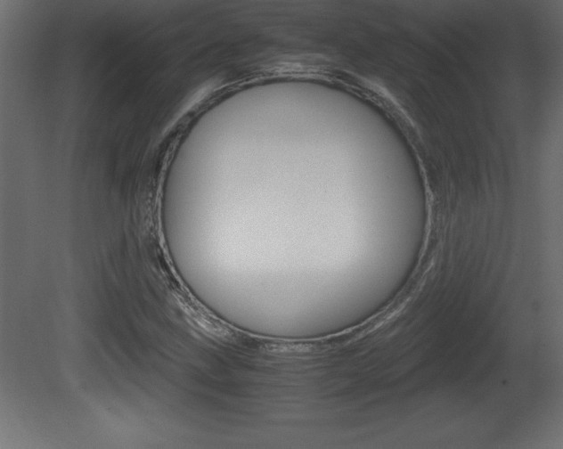 X0000081451211200701121006