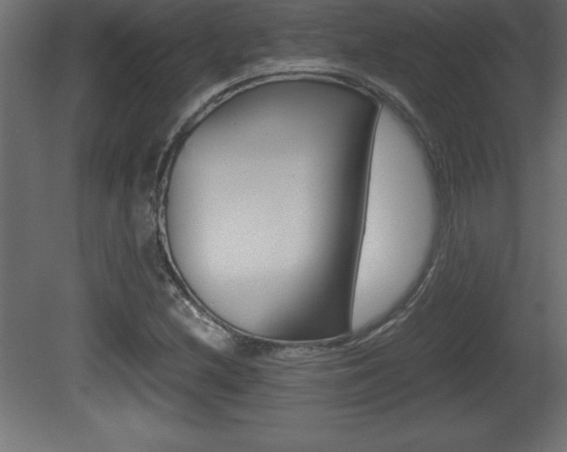 X0000081451212200701121006