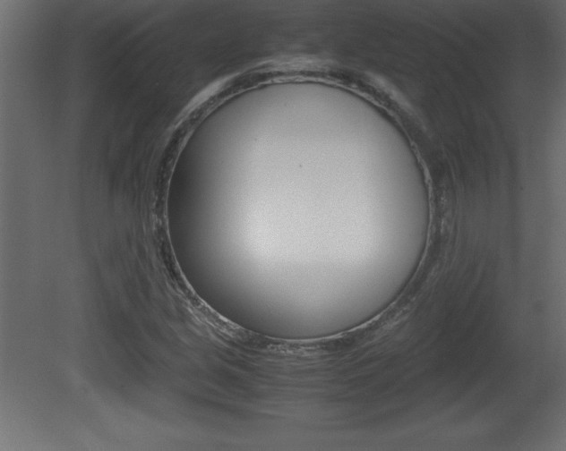X0000081451213200701121006