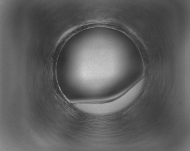 X0000081451214200701121006