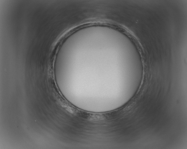 X0000081451215200701121006