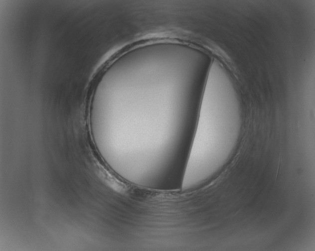 X0000081451216200701121006