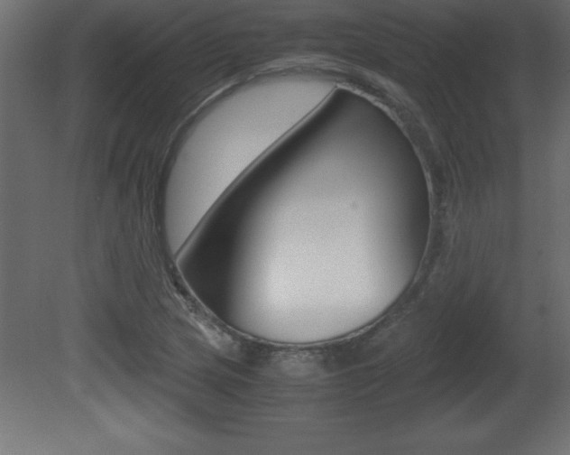 X0000081451217200701121006